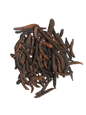 Long Pepper